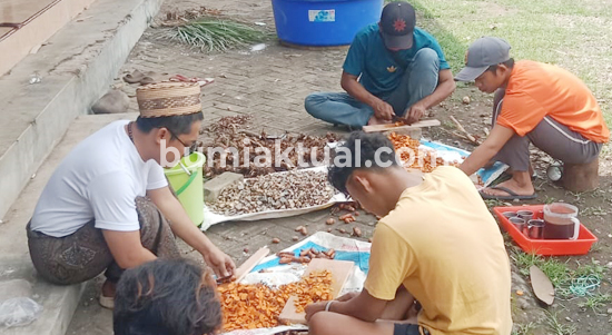 Komunitas-Syabab-Produksi-Jamu-untuk-Sapi,-Ikhtiar-Melawan-Wabah-PMK-2
